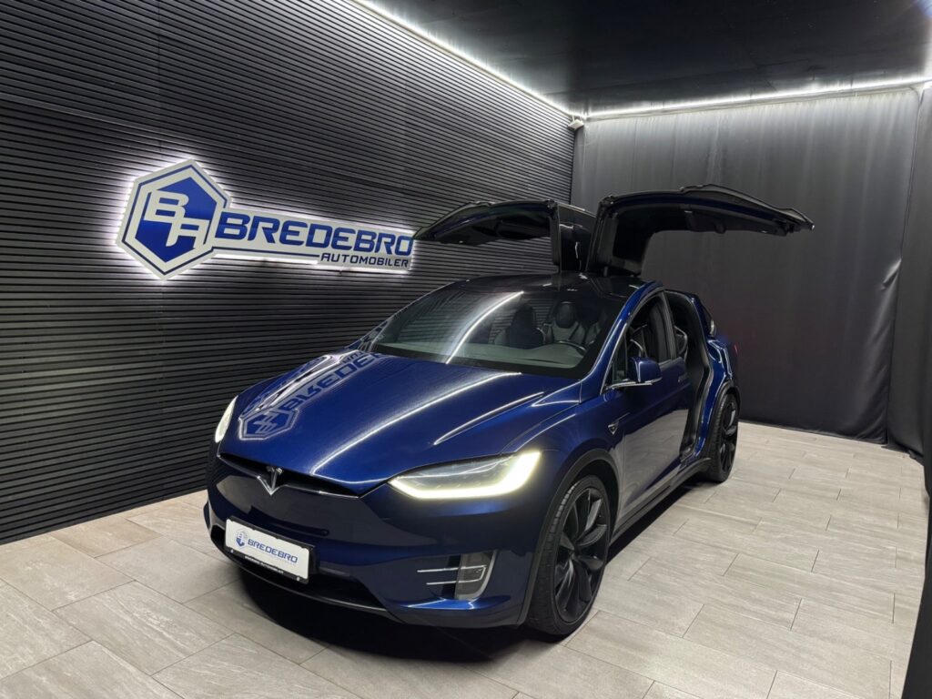 Tesla Model X 100D 7prs